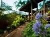 Colourful pathway at Tamborine Mountain Bed and Breakfast Colourful pathway at Tamborine Mountain Bed and Breakfast