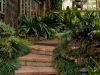 Garden steps leading to Tamborine Mountain Bed and Breakfast Garden steps leading to Tamborine Mountain Bed and Breakfast
