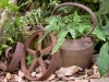 Old pots in the garden at Tamborine Mountain Bed and Breakfast Old pots in the garden at Tamborine Mountain Bed and Breakfast