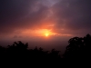 Spectacular sunrise at Tamborine Mountain Bed & Breakfast Spectacular sunrise at Tamborine Mountain Bed & Breakfast