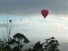 Hot Air Balloons floating over Tamborine Mountain in the early morning light Hot Air Balloons floating over Tamborine Mountain in the early morning light