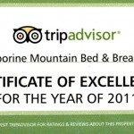 Certificate of Excellence Trip Advisor 2011 for Tamborine Mountain B&B