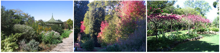 magnificent-gardens-tamborine-mountain-seasons-on-the-mountain