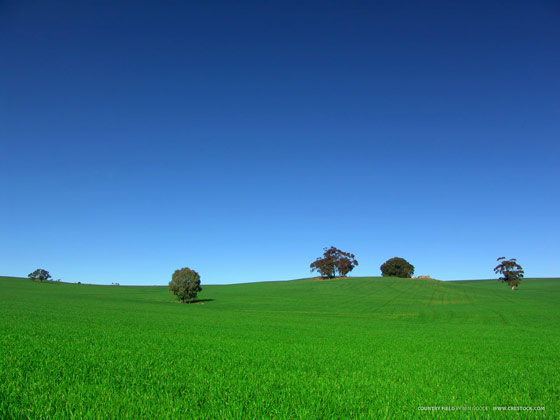 Open for business - Sunny Cloudless Sky Beautiful Sunny Cloudless Sky