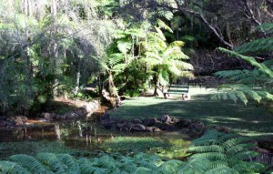Botanic Gardens on Mt Tamborine