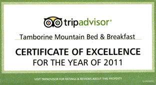 Certificate of Excellence Trip Advisor for Tamborine Mountain B&B