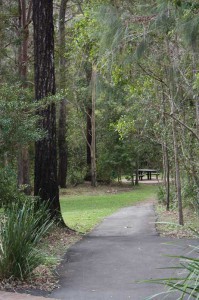 Picnic Area at Cedar Creek Section National Park