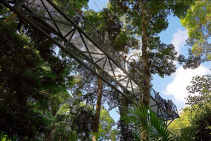 Tamborine Mountain Skywalk Looking Uo at Tamborine Mountain Skywalk