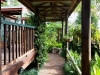 Cool covered walkway to rooms at Tamborine Mountain Bed and Breakfast Cool covered walkway to rooms at Tamborine Mountain Bed and Breakfast