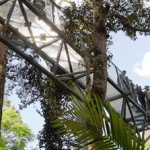 view-from-the-rainforest-skywalk-on-mount-tamborine